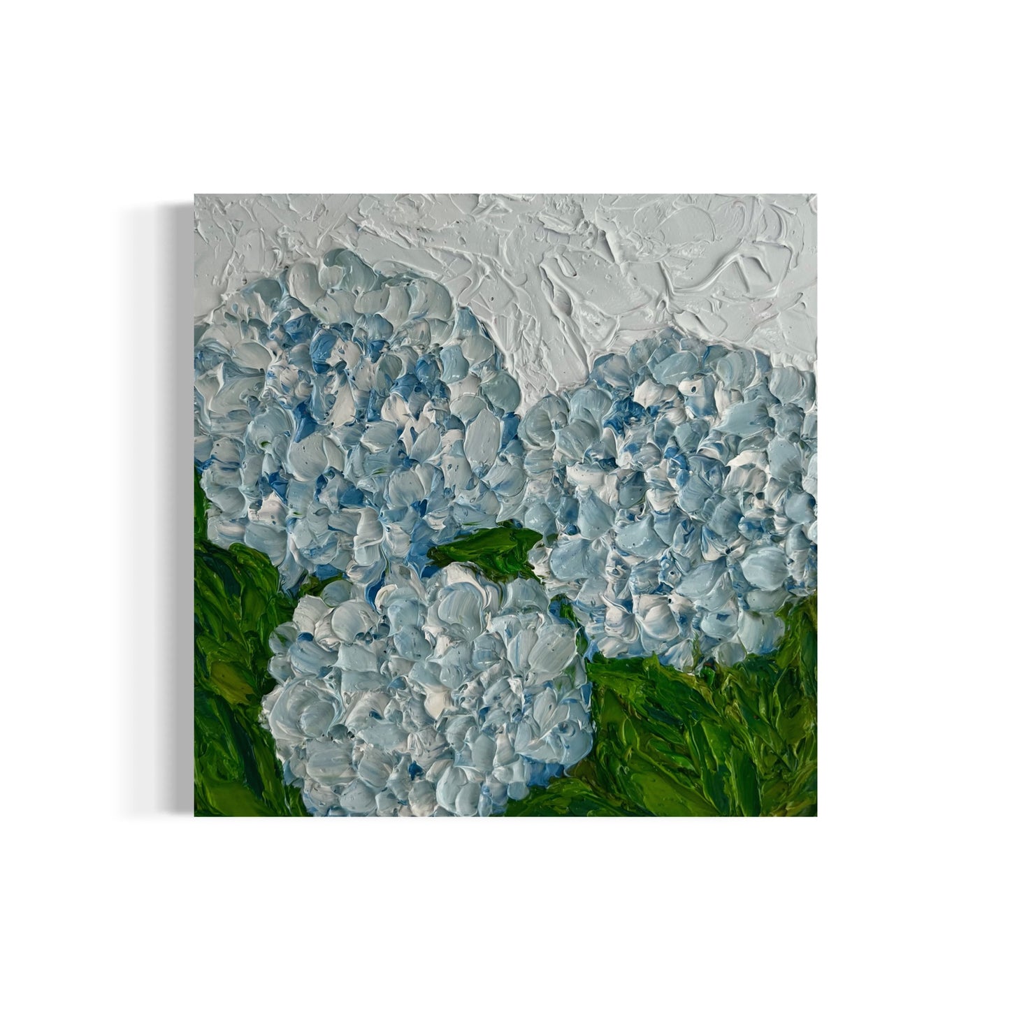 Light blue hydrangeas