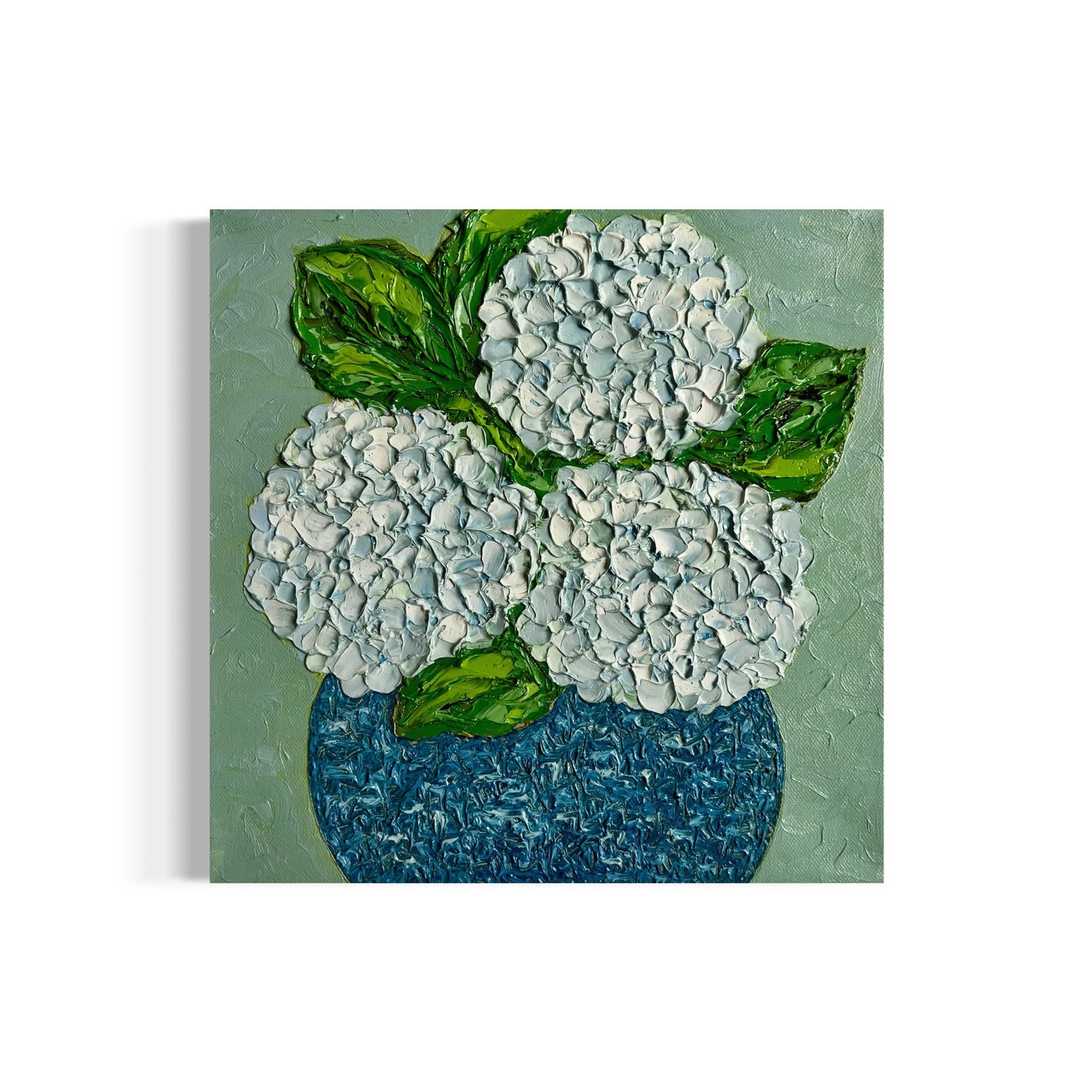 The bloom in your home