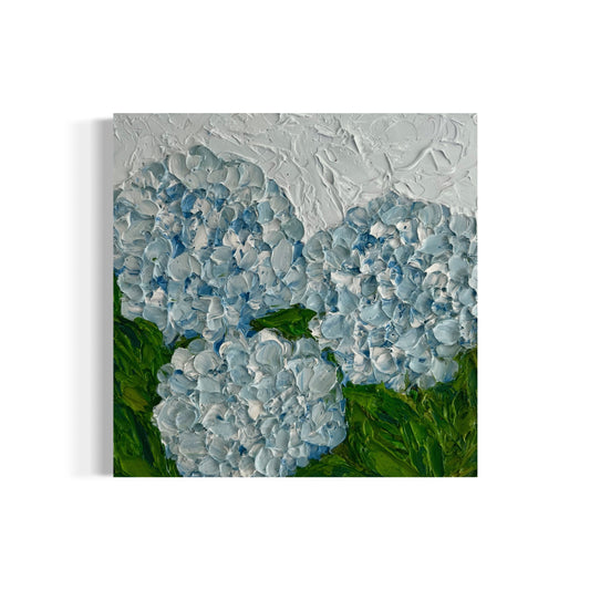 Light blue hydrangeas